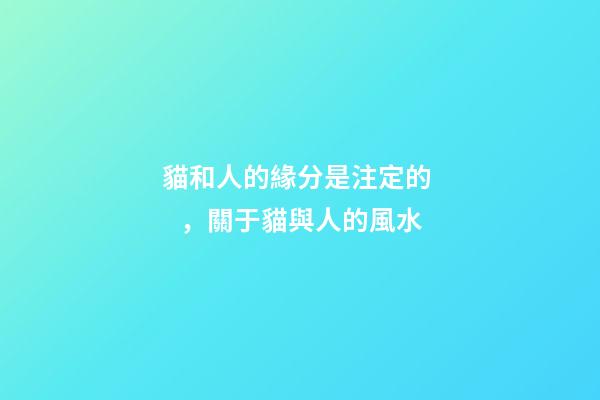 貓和人的緣分是注定的，關于貓與人的風水